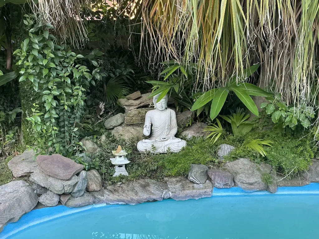 IMG_0339.webp